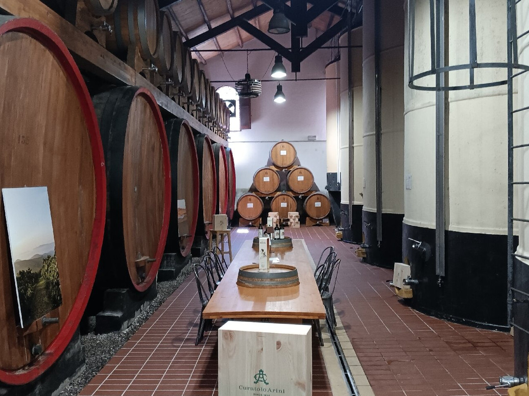 Curatolo arini  1875-马尔萨拉必去景点