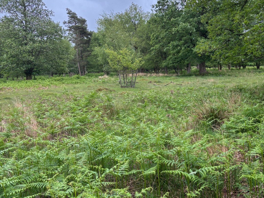 Longshaw Estate景点图片