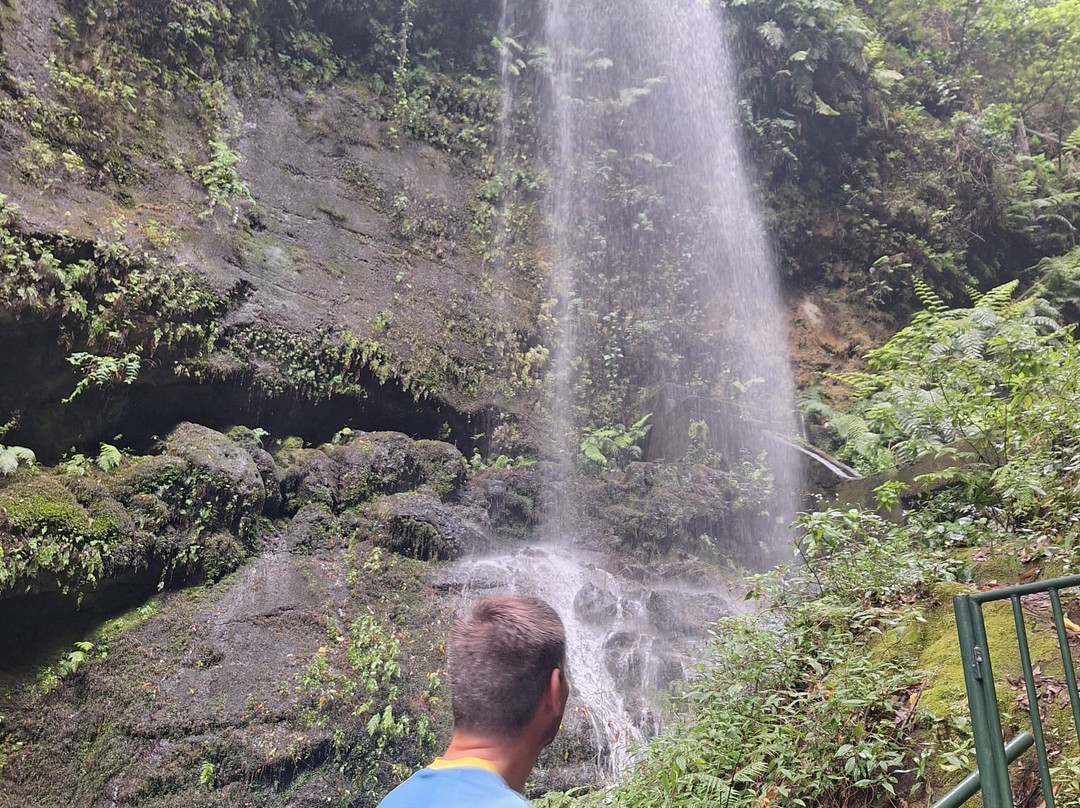 Cascada De los Tilos景点图片