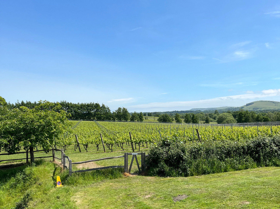 Albourne Estate景点图片