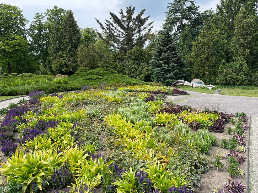 Poznan Botanical Gardens-波兹南必去景点
