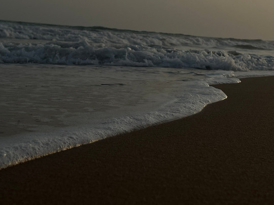 Mangrove Forest in Chabahar-Chabahar必去景点