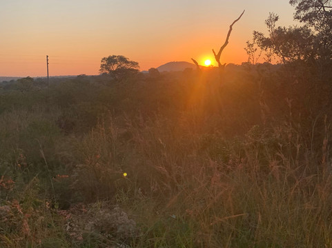 Wanyama Safaris-克鲁格国家公园必去景点