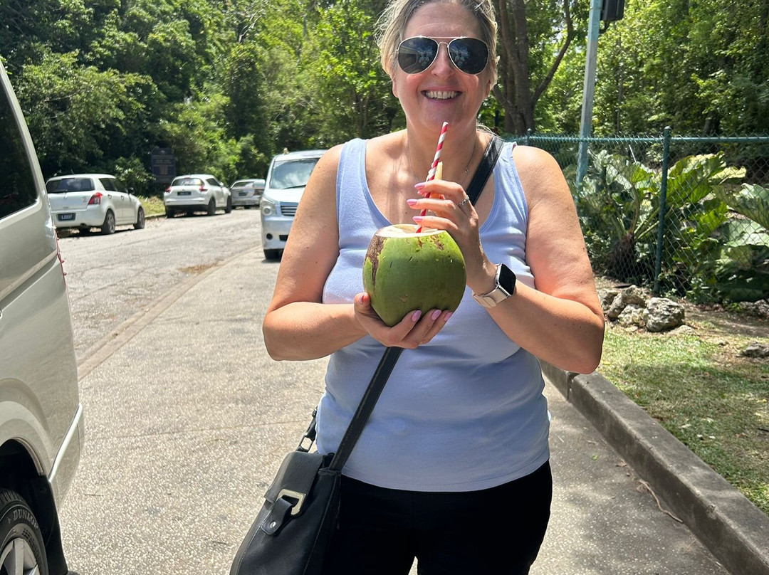 Ted's Tours-Hastings必去景点