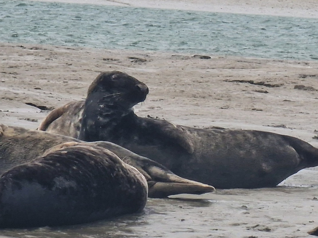 Chichester Harbour Water Tours景点图片