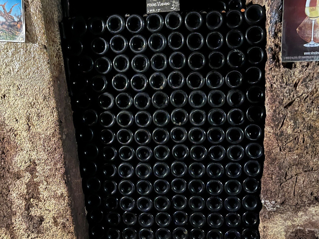 Caves Cathelineau景点图片