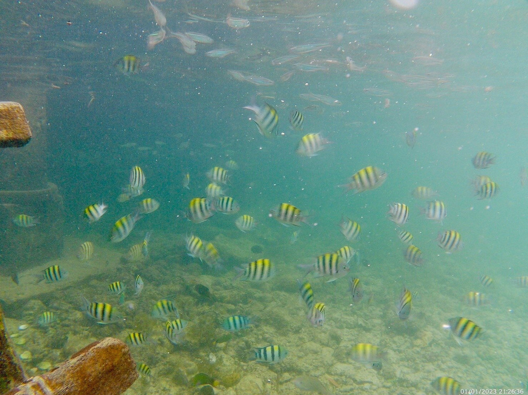 San Vicente Marine Sanctuary景点图片