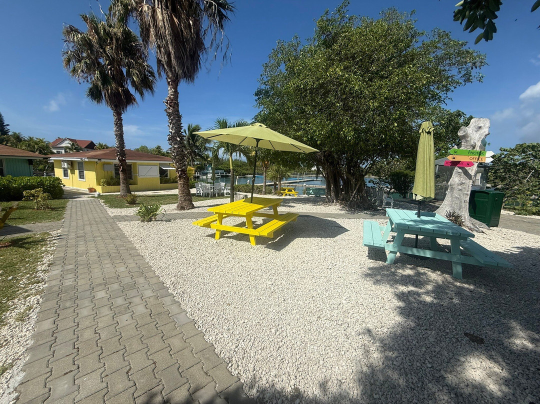 The Dolphin Experience-弗里波特必去景点