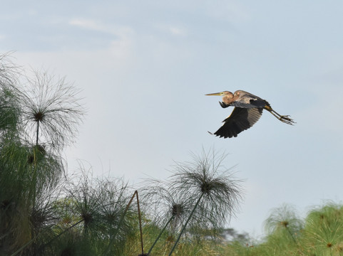 Realm Africa Safaris-恩德培必去景点