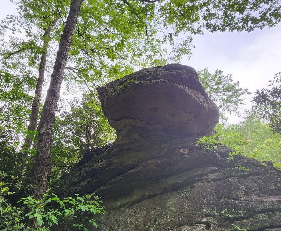 Babcock State Park-Clifftop必去景点