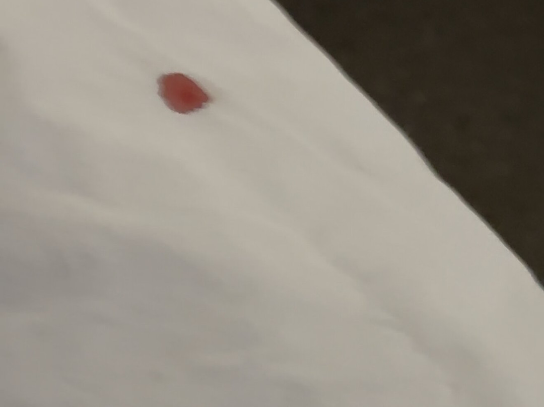 Baymont by Wyndham Glenview主图