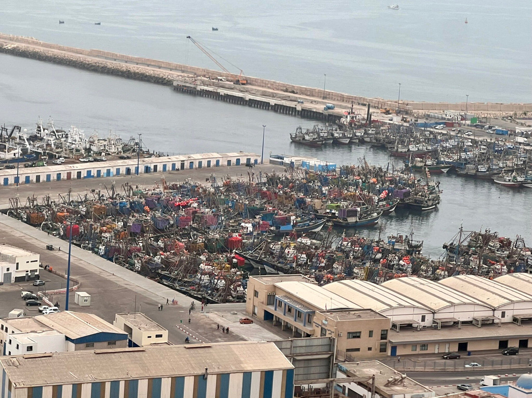 Agadir Fishing Port-阿加迪尔必去景点