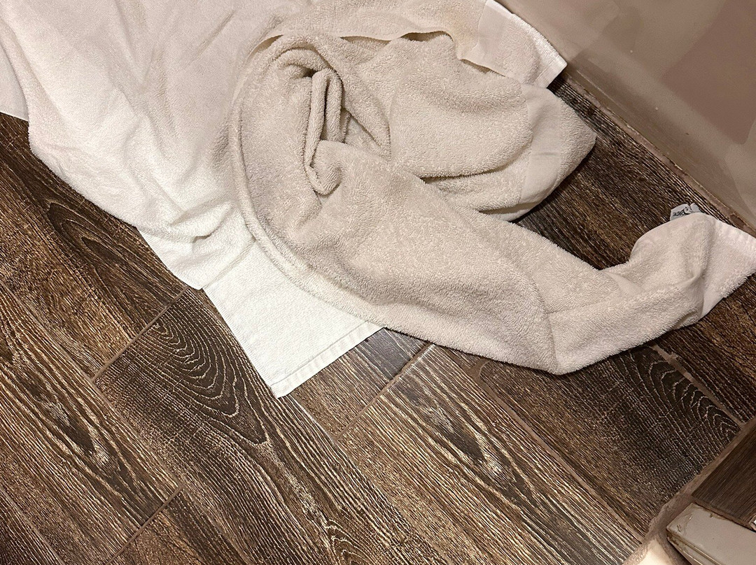 Econo Lodge Inn & Suites Shelbyville主图