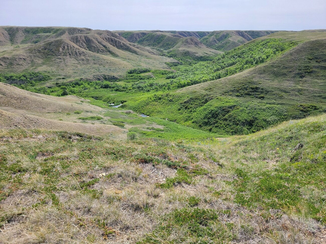 Saskatchewan Landing Provincial Park-Stewart Valley必去景点