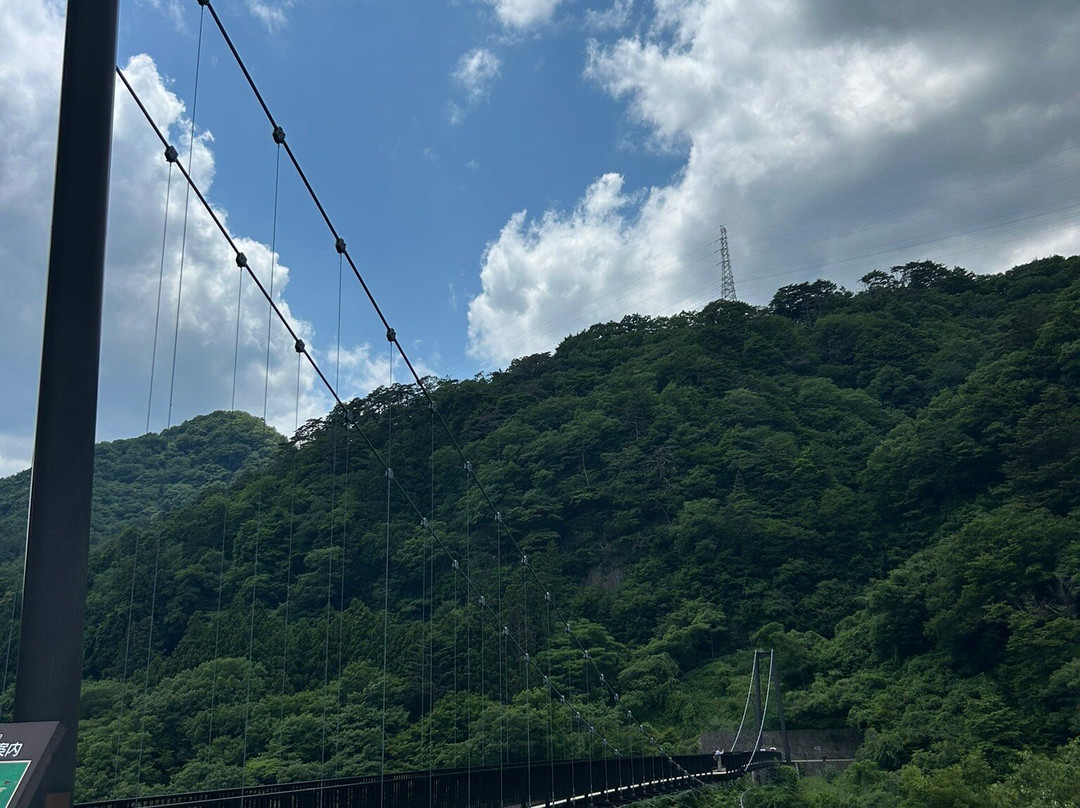 Kinu Tateiwa Otsuribashi (Suspension bridge)-日光市必去景点