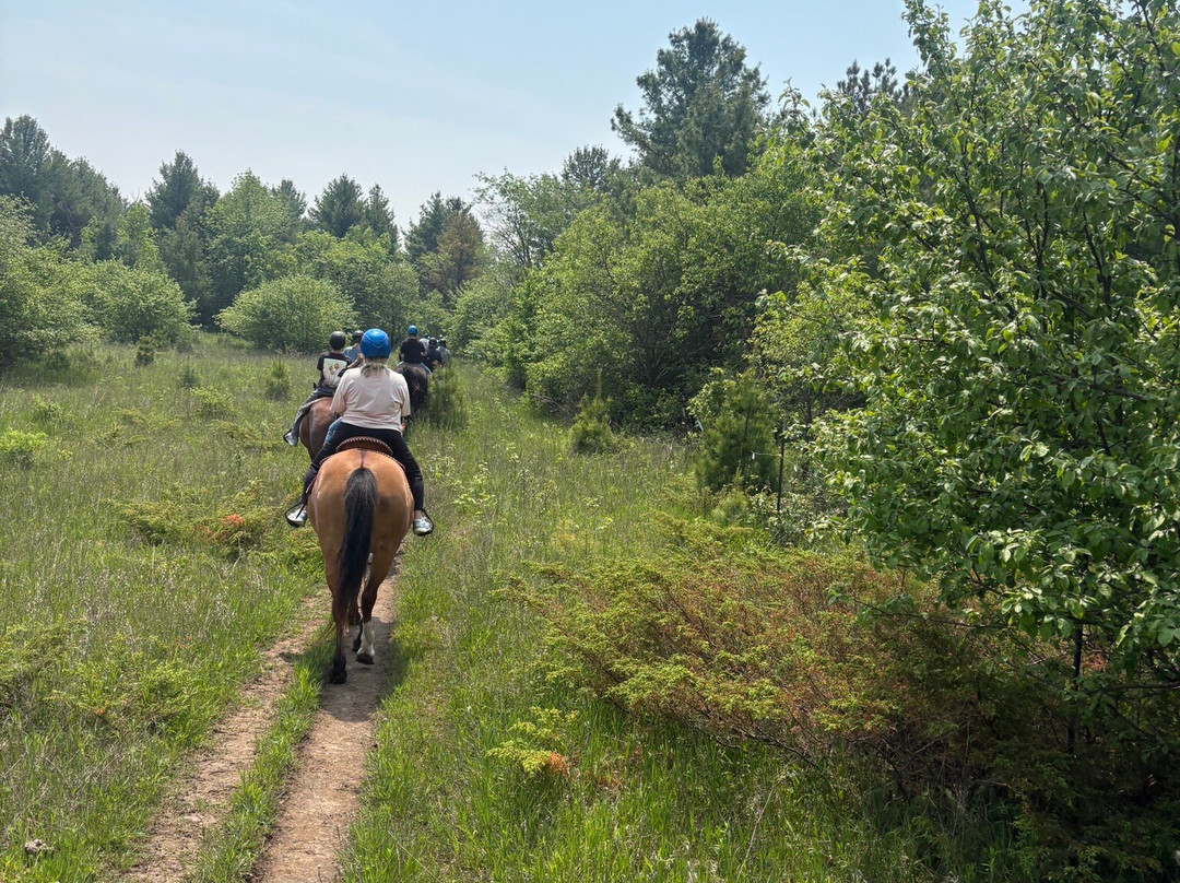 Kurtz Corral-斯特金贝必去景点