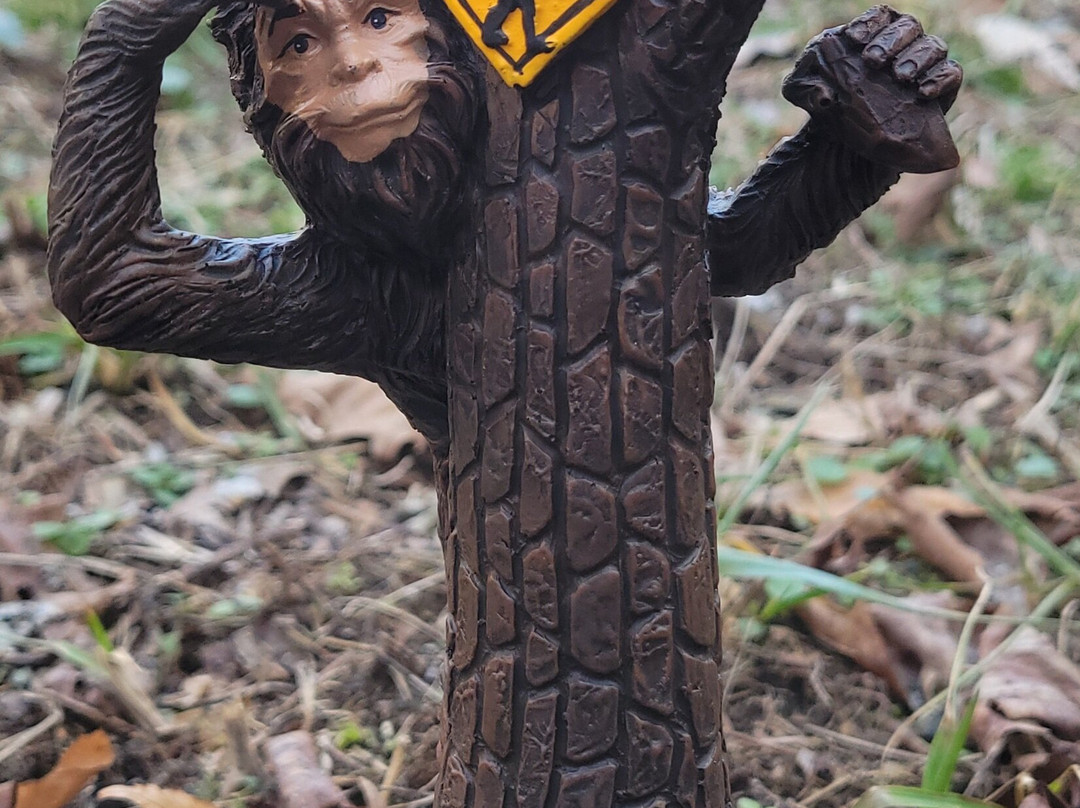 Kanawha State Forest-查尔斯顿必去景点