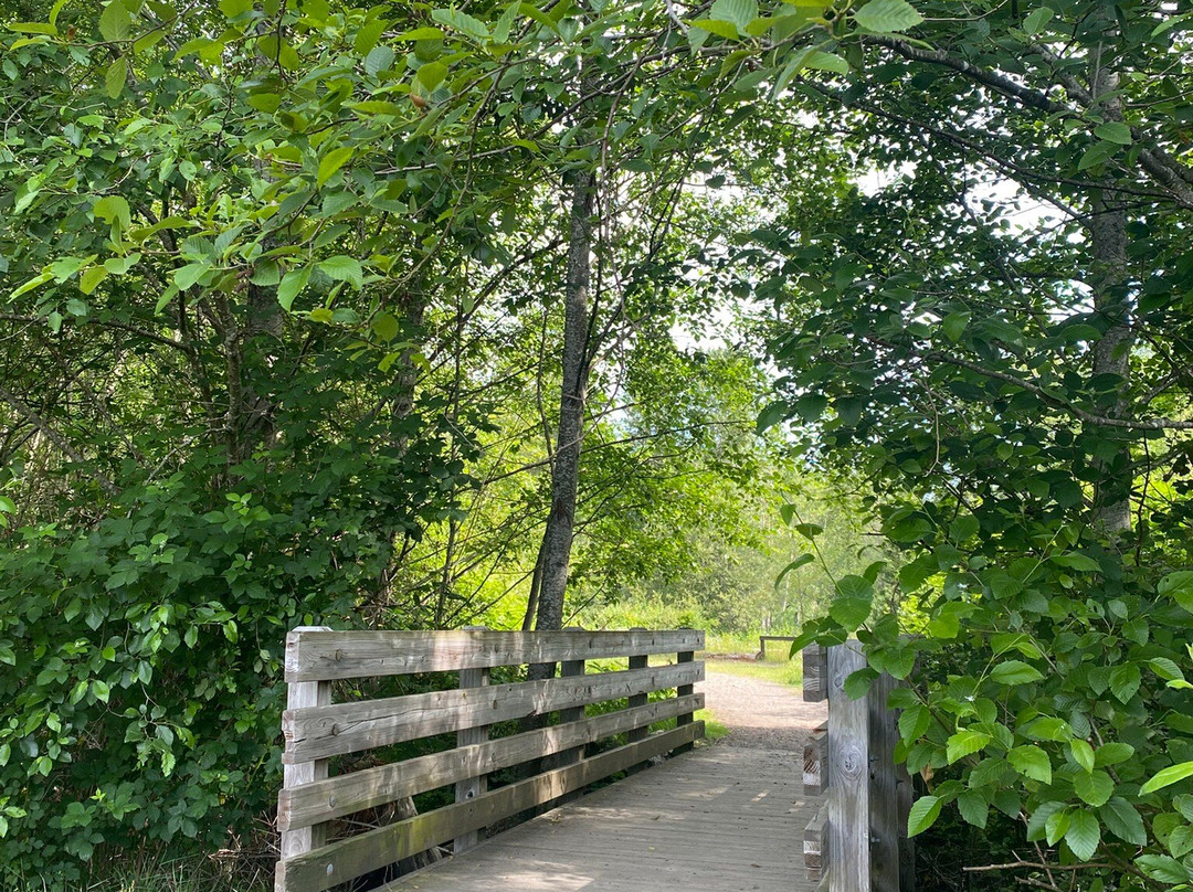 Poulsbo Fish Park-波尔斯波必去景点