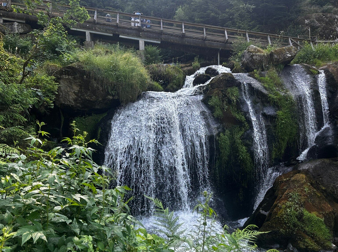 Triberg Waterfalls-特里贝格必去景点