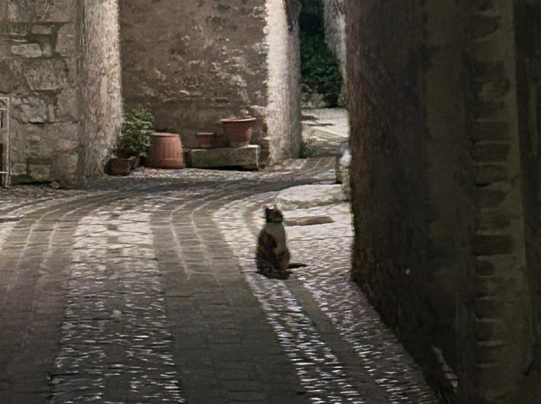 Borgo-San Gemini必去景点