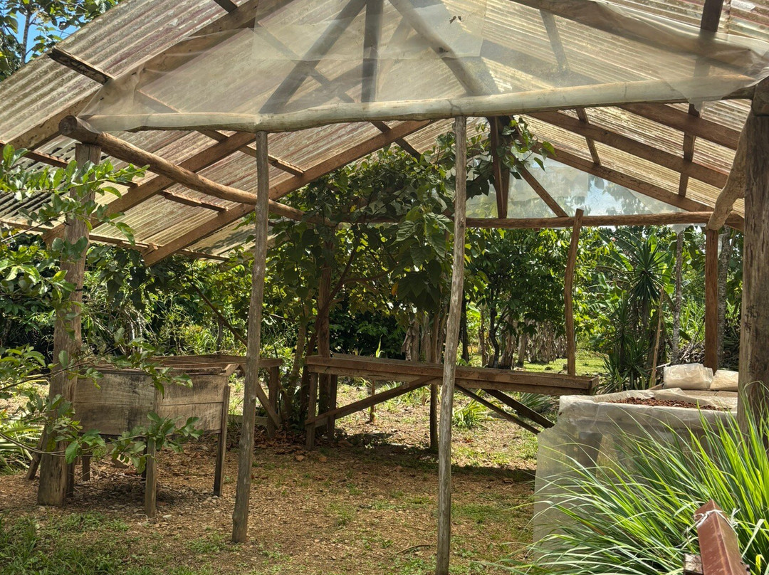 Rancho Raices De Puerto Jimenez-希门尼斯港必去景点