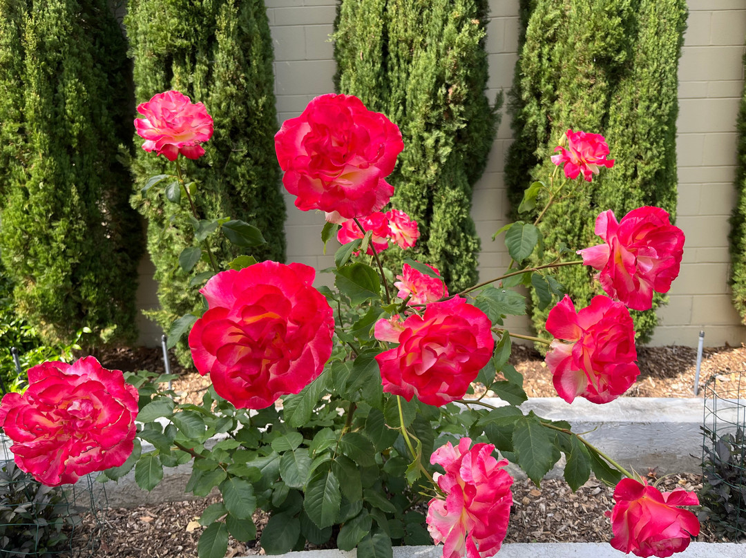 Highline SeaTac Botanical Gardens-西塔科必去景点