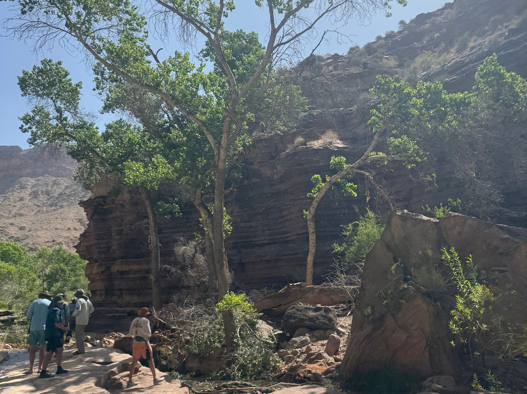 Grand Canyon Whitewater-大峡谷国家公园必去景点