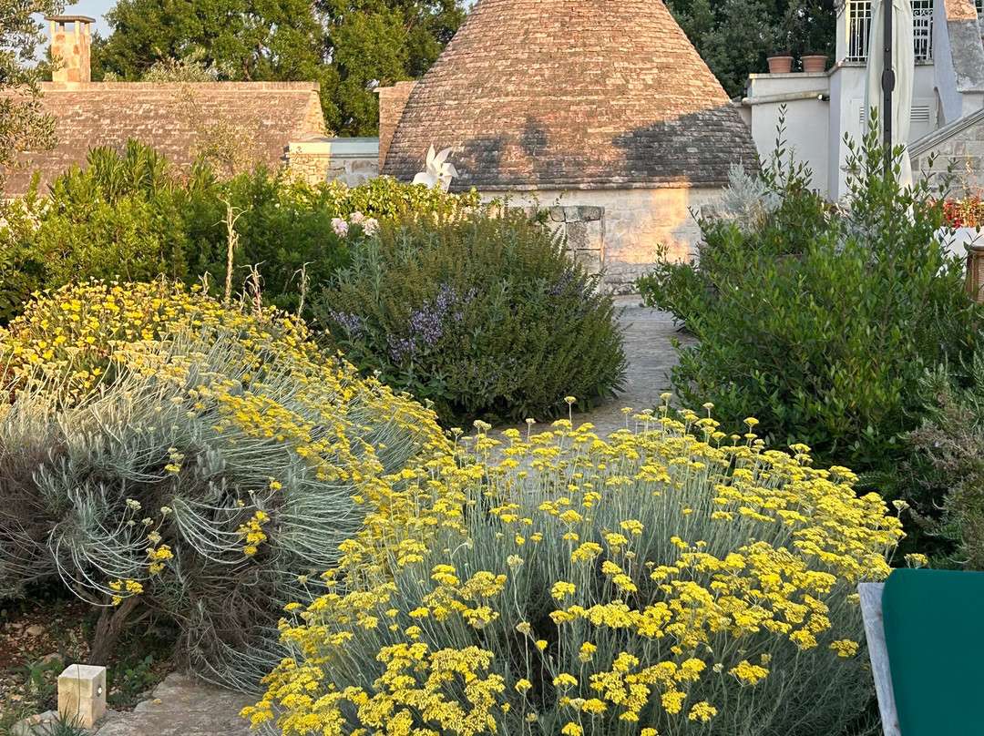 Leonardo Trulli Resort主图