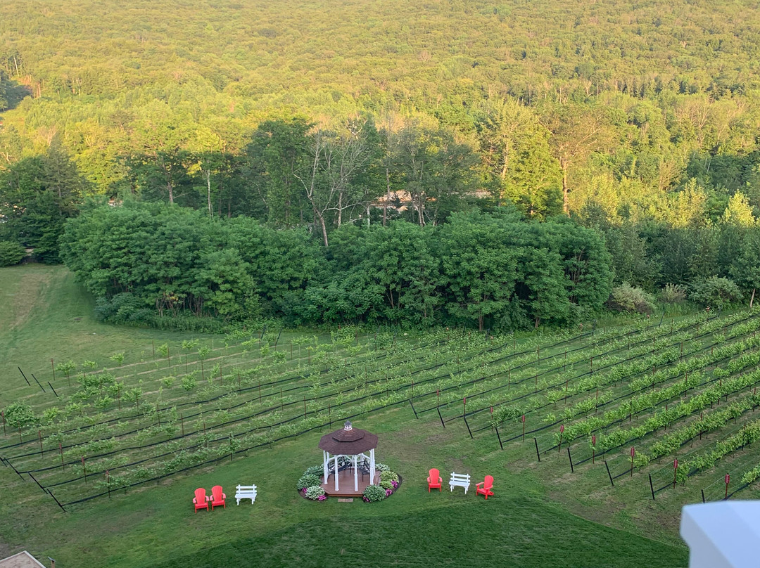 Seven Birches Winery-林肯必去景点