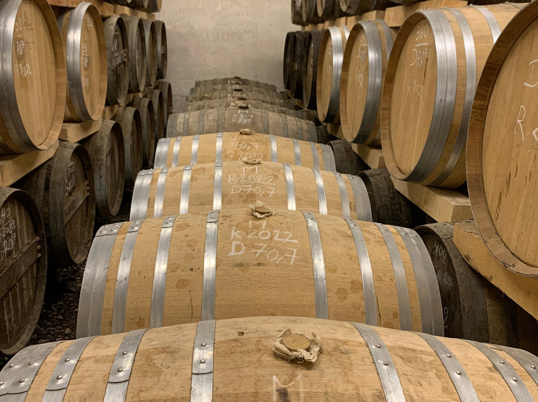 Cognac Raby-Segonzac必去景点