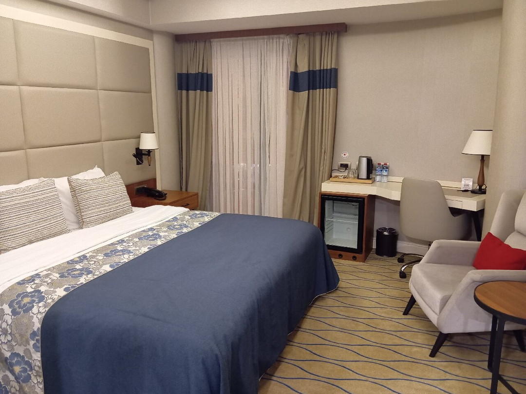 Ramada by Wyndham Sakarya Hendek主图