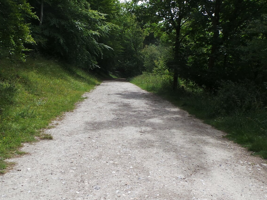 Wendover Woods-Wendover必去景点