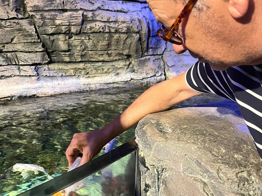 Funtastic Aquarium İzmir-伊兹密尔必去景点