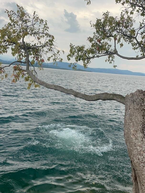 Kivu boat tours-Kibuye必去景点