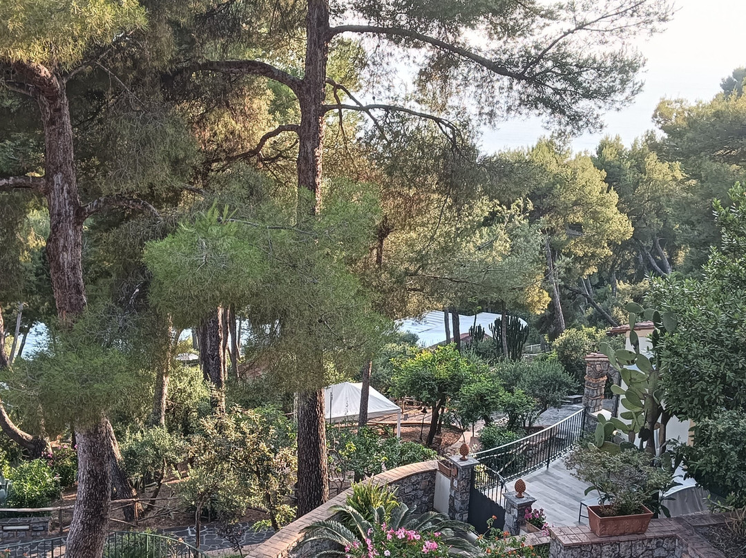 Hotel Villa delle Meraviglie主图