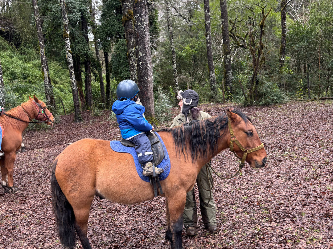 Alma Equina Pucon-普孔必去景点