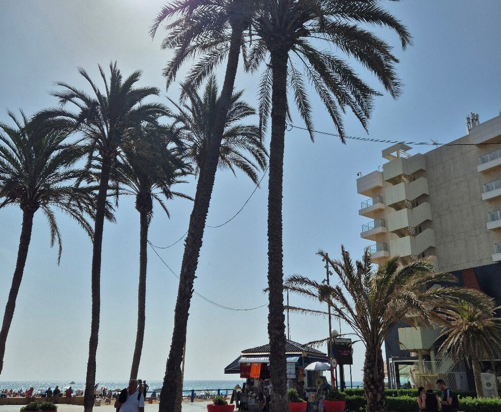 Plaça Porta del Mar-阿利坎特省必去景点