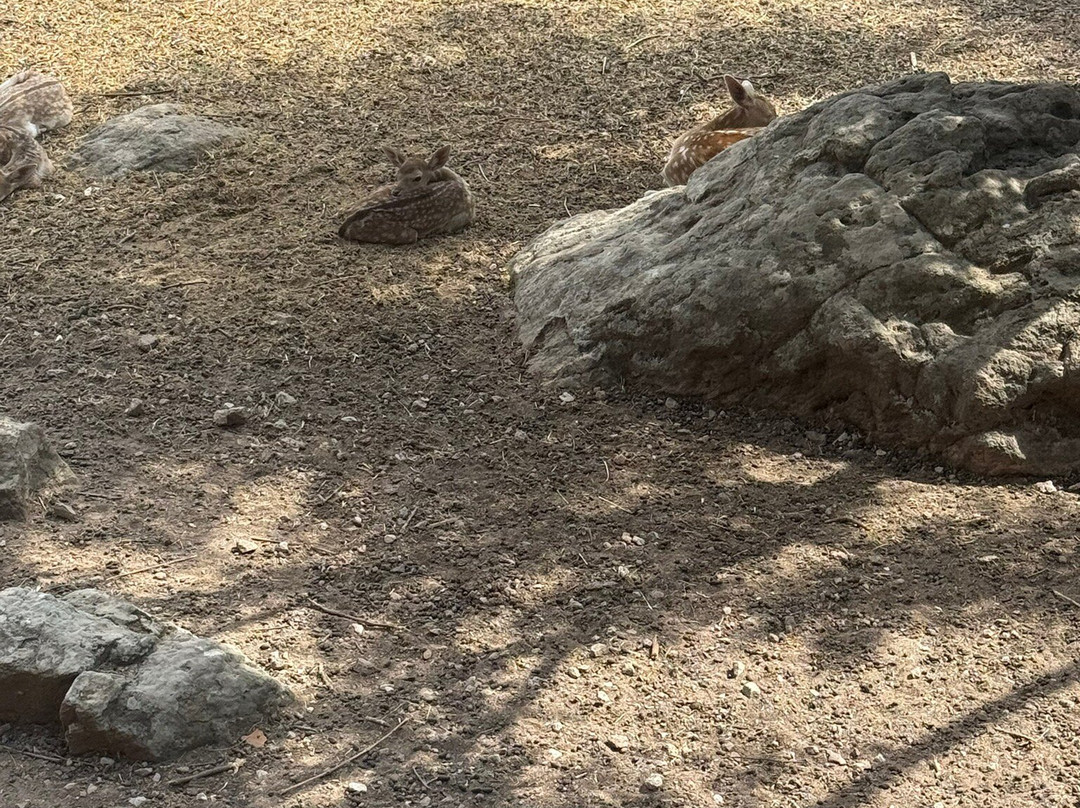 Kariofylli Farm-Lepetymnos必去景点