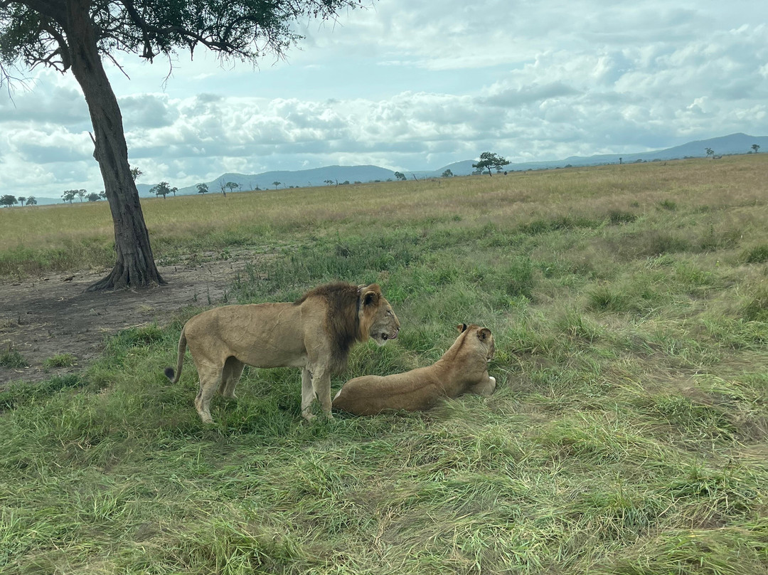 Kasaka Tours-Dar es Salaam必去景点