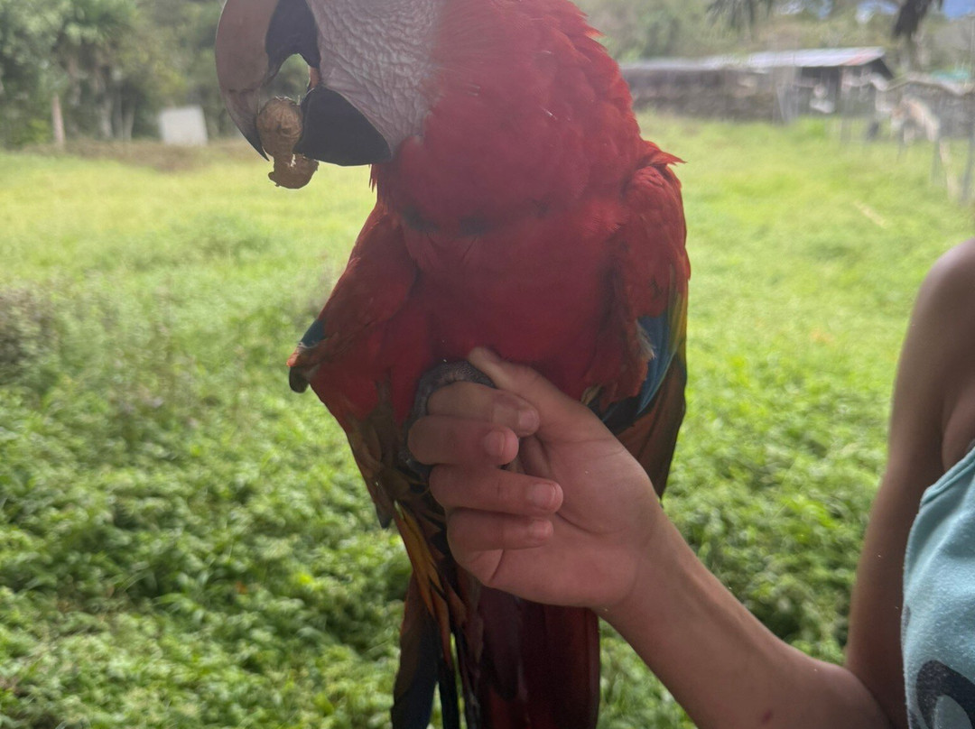 Jungla de Panama Wildlife Refuge-波魁特必去景点