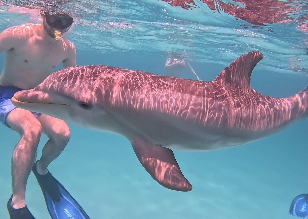 Big Blue Collective-普罗维登西亚莱斯必去景点