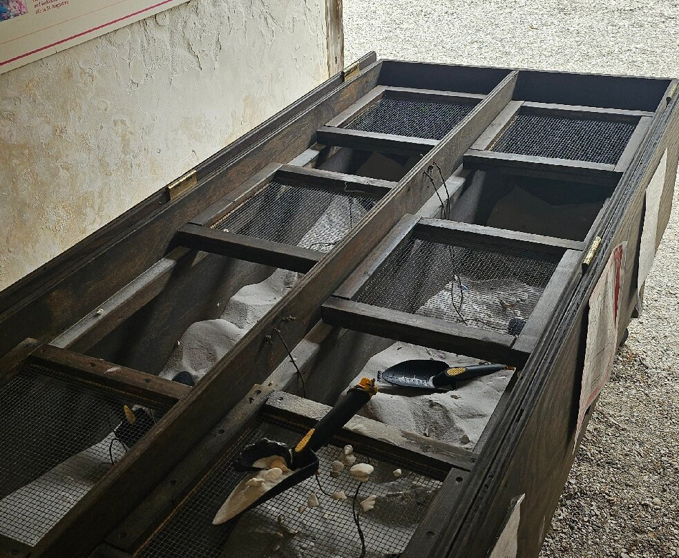 The Ximenez-Fatio House Museum-圣奥古斯丁必去景点