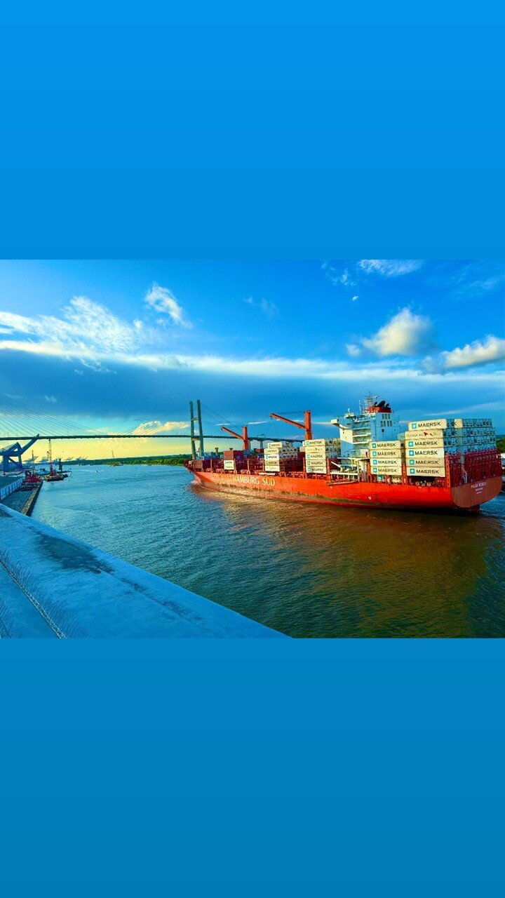 JW Marriott Savannah Plant Riverside District-酒店景观