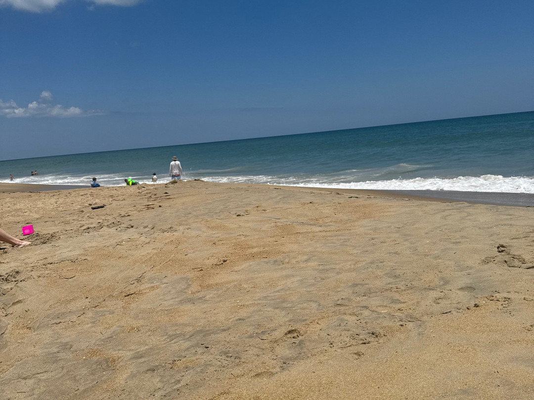 The Golden Strand主图