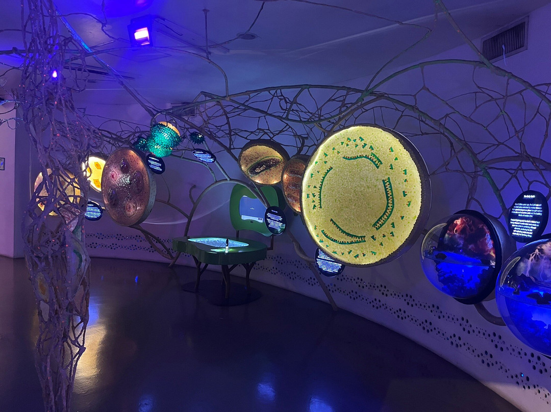 达义心灵博物馆-塔吉格必去景点