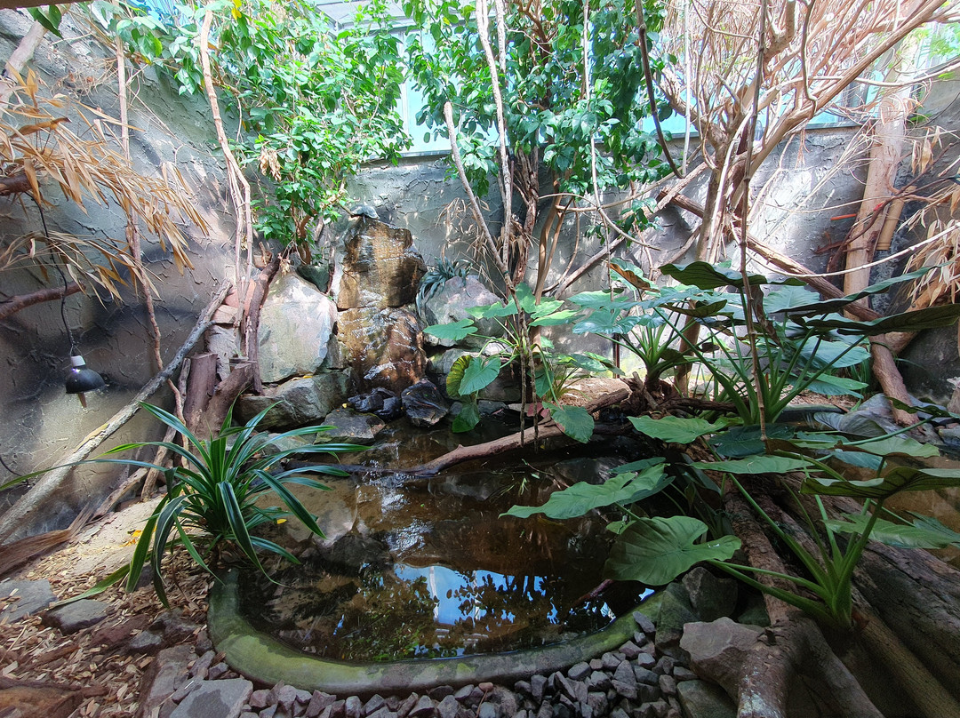 Zoo Landau-Landau in der Pfalz必去景点
