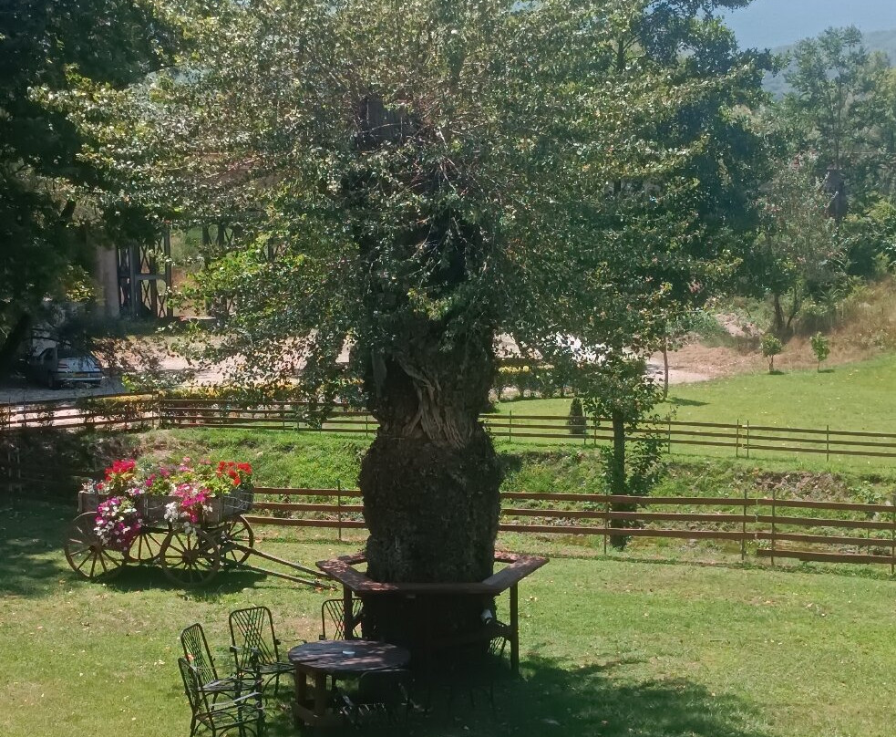 Forestis-Paranesti必去景点