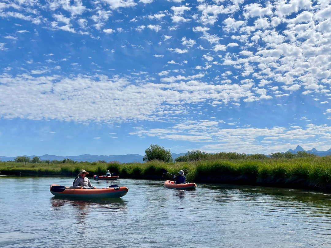 Teton River Supply-德里格斯必去景点