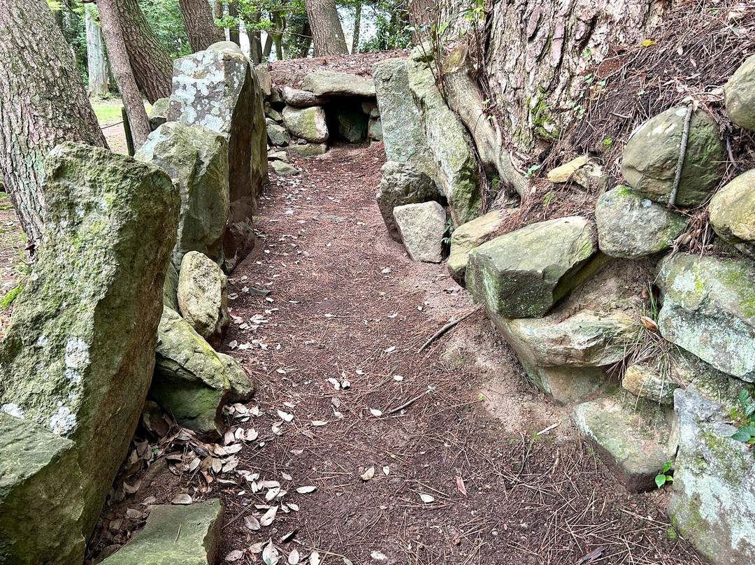 Mizuwakasu Shrine-隐岐之岛町必去景点