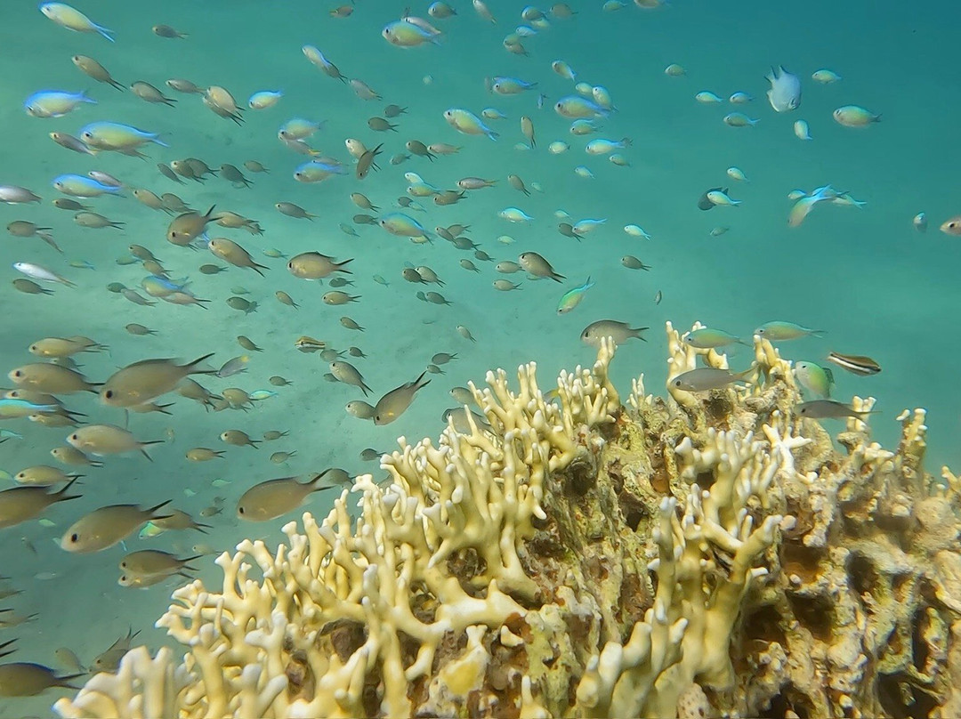 Extra Divers Makadi Bay-马卡迪湾必去景点